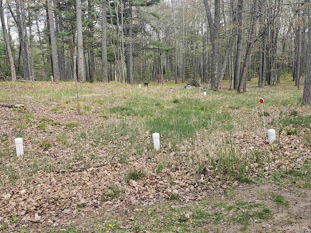 2051 Town Rd M Rd, Florence T-Wi, WI 54121 - view of tree filled area