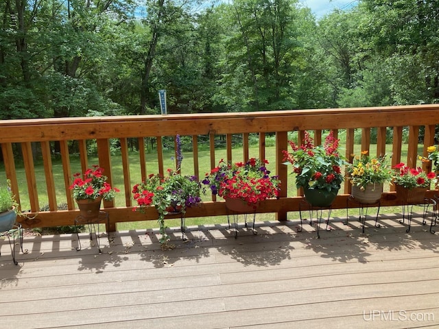 2051 Town Rd M Rd, Florence T-Wi, WI 54121 - view of wooden deck