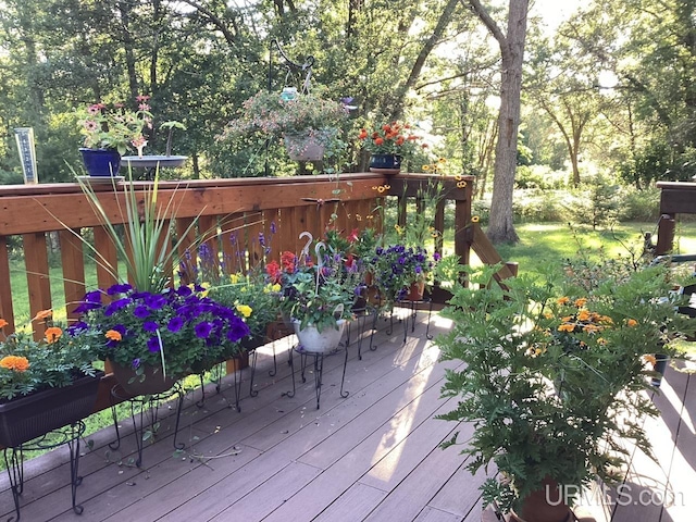 2051 Town Rd M Rd, Florence T-Wi, WI 54121 - view of wooden terrace