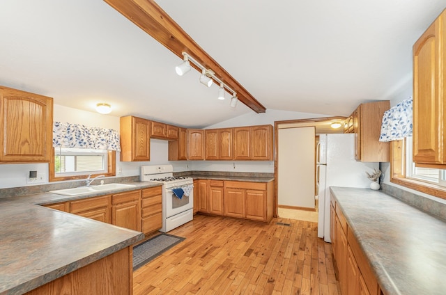 122 Shady Grove Ln, Roscommon, MI 48653 - kitchen with white appliances, a sink, light wood-style flooring, rail lighting, and healthy amount of natural light