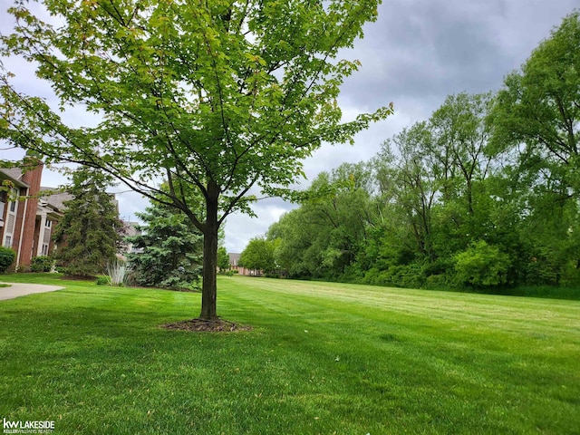 15495 Cornell Dr, Clinton Township, MI 48038 - view of green lawn