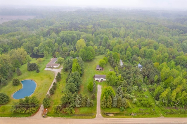 2100 Rowe Rd, Applegate, MI 48401 - aerial view of a forest and a nearby body of water