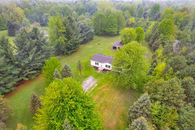 2100 Rowe Rd, Applegate, MI 48401 - aerial view of property and surrounding area