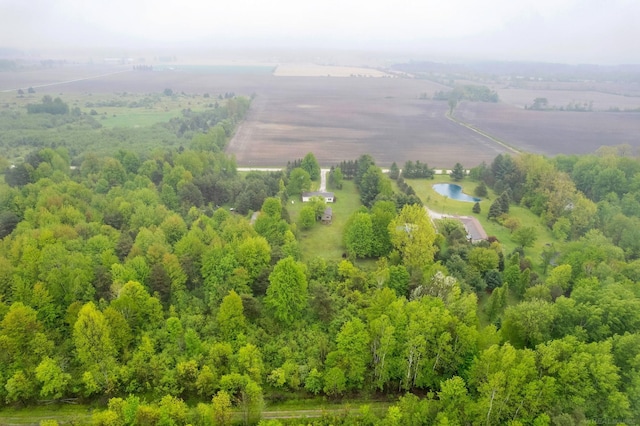 2100 Rowe Rd, Applegate, MI 48401 - drone / aerial view