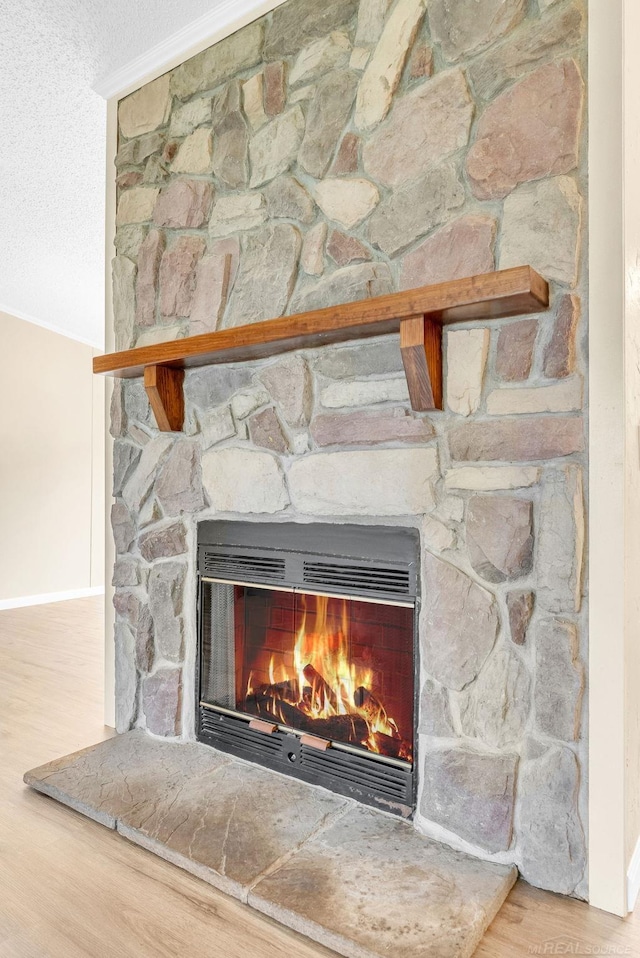 2100 Rowe Rd, Applegate, MI 48401 - detailed view of a stone fireplace, wood finished floors, and baseboards