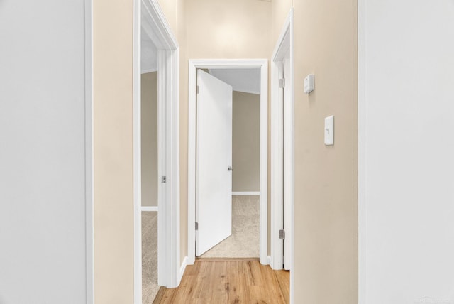 2100 Rowe Rd, Applegate, MI 48401 - corridor featuring light wood-style floors, light carpet, and baseboards