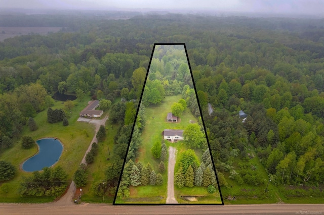 2100 Rowe Rd, Applegate, MI 48401 - aerial overview of property's location featuring a forest, property boundaries highlighted, and a large body of water
