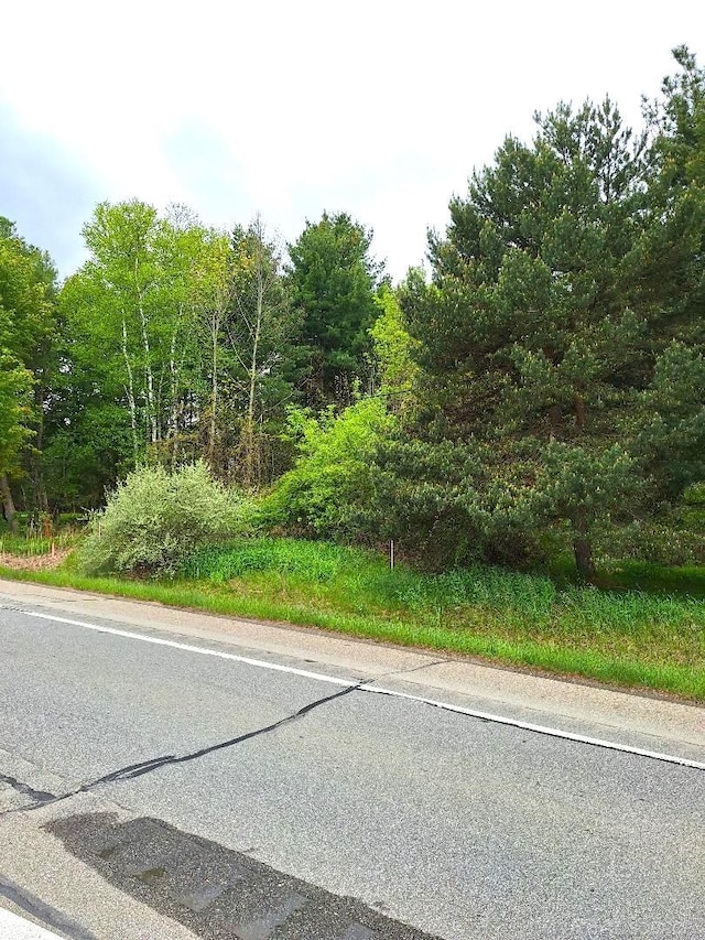PARCEL2 Lakeshore Rd, Applegate, MI 48401