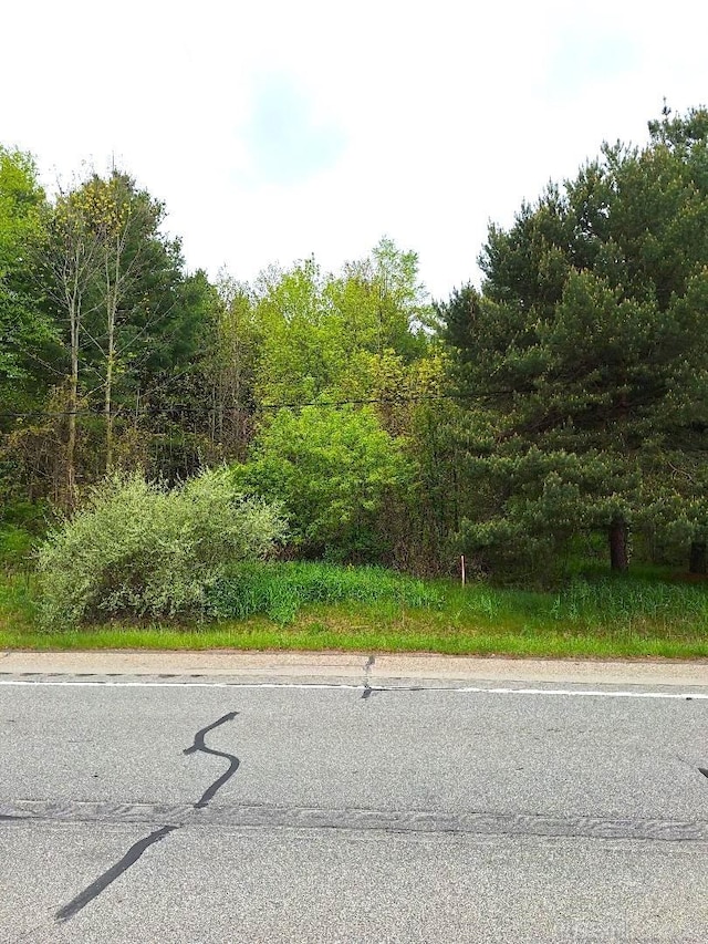PARCEL2 Lakeshore Rd, Applegate, MI 48401