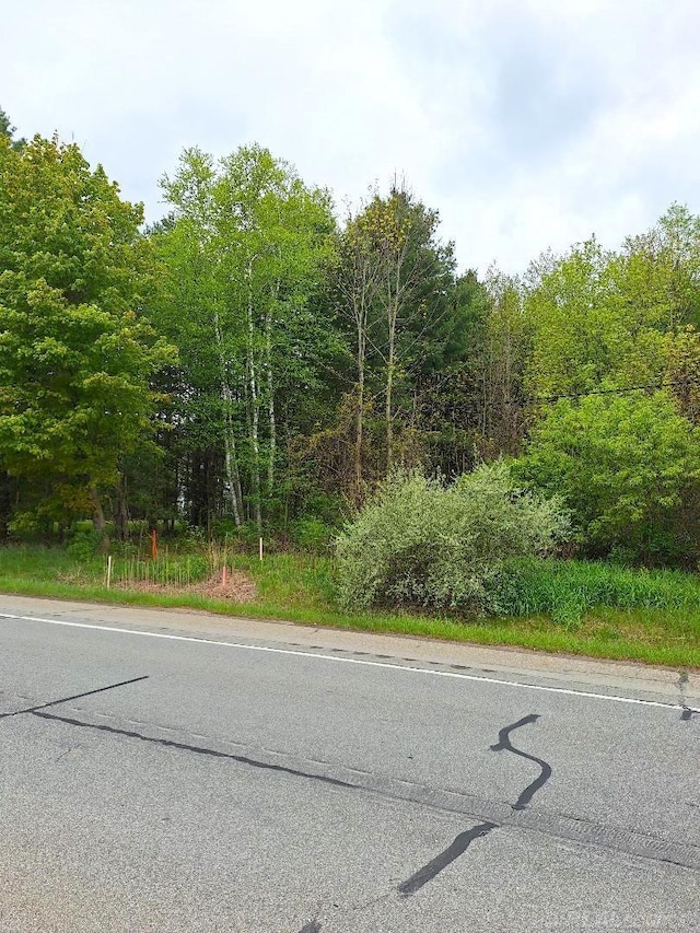 PARCEL2 Lakeshore Rd, Applegate, MI 48401