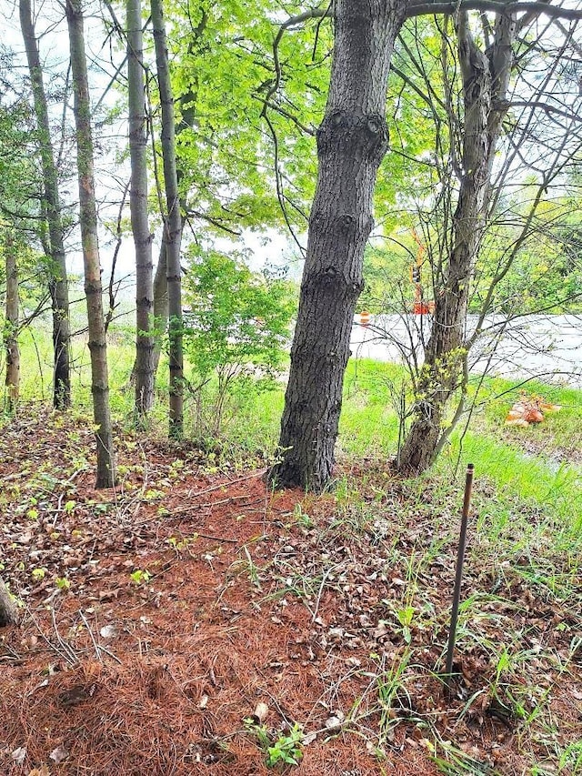 PARCEL2 Lakeshore Rd, Applegate, MI 48401