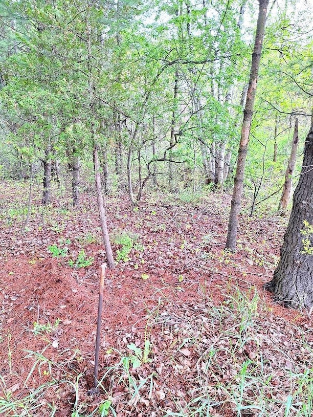 PARCEL2 Lakeshore Rd, Applegate, MI 48401