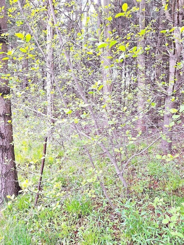 PARCEL2 Lakeshore Rd, Applegate, MI 48401