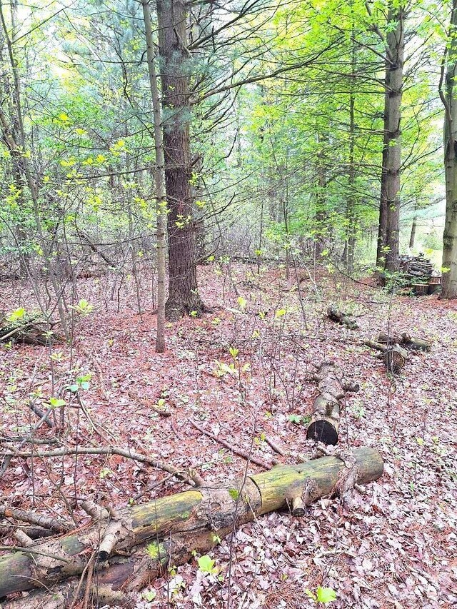 PARCEL2 Lakeshore Rd, Applegate, MI 48401