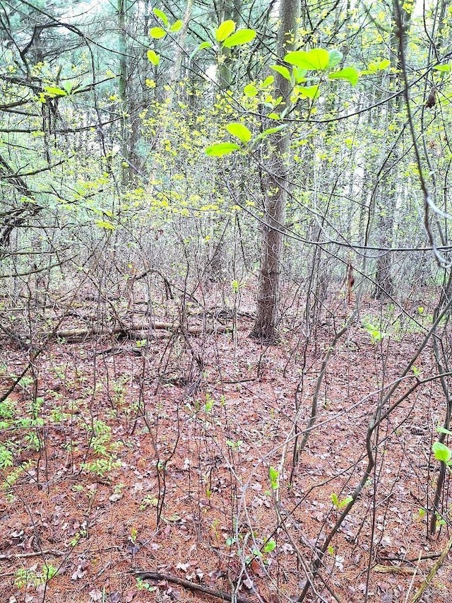 PARCEL2 Lakeshore Rd, Applegate, MI 48401
