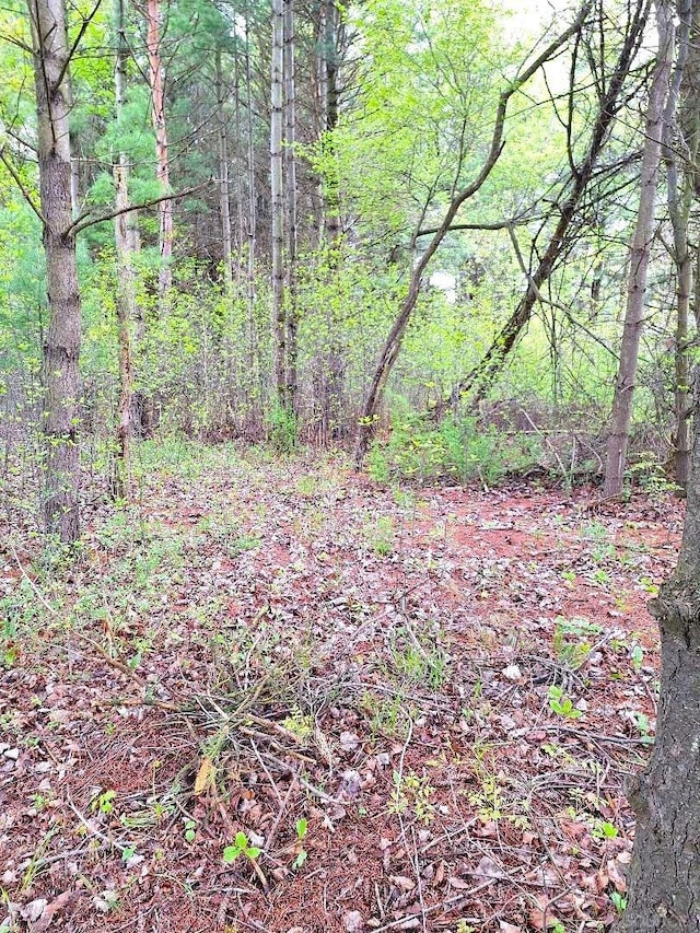 PARCEL2 Lakeshore Rd, Applegate, MI 48401