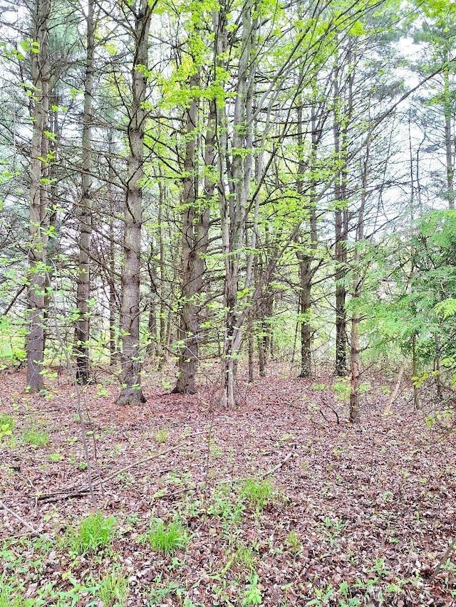 PARCEL2 Lakeshore Rd, Applegate, MI 48401