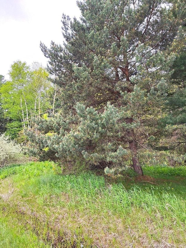 PARCEL2 Lakeshore Rd, Applegate, MI 48401
