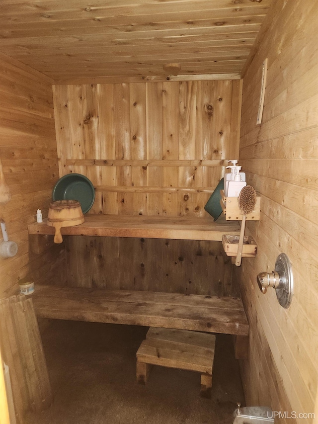 50 Baltic Ave, South Range, MI 49963 - sauna / steam room with wood walls and wooden ceiling