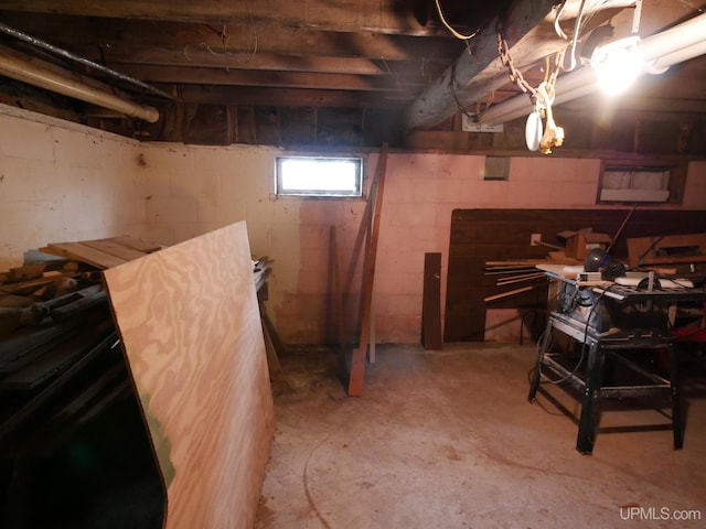 50 Baltic Ave, South Range, MI 49963 - view of below grade area