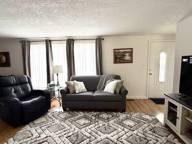 2684 Lakeshore Dr, Gladwin, MI 48624 - living area with wood finished floors and a textured ceiling