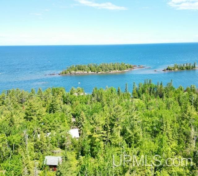 9411 Goodell Rd, Eagle Harbor, MI 49950 - water view
