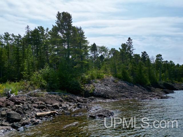 9411 Goodell Rd, Eagle Harbor, MI 49950 - water view featuring a forest