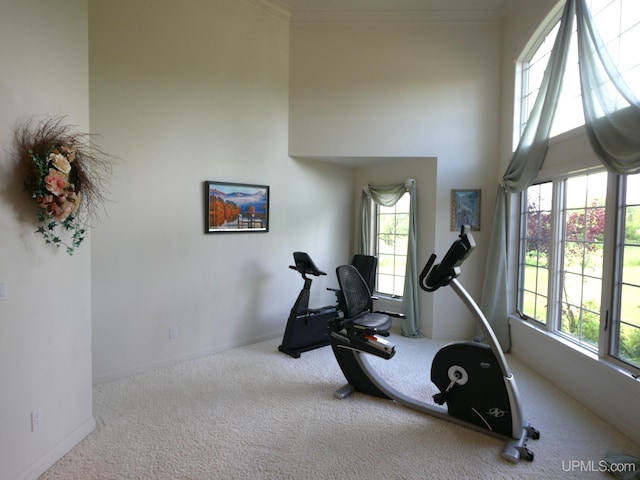 52765 Bootjack Rd, Lake Linden, MI 49945 - exercise area with carpet floors, healthy amount of natural light, a high ceiling, baseboards, and crown molding