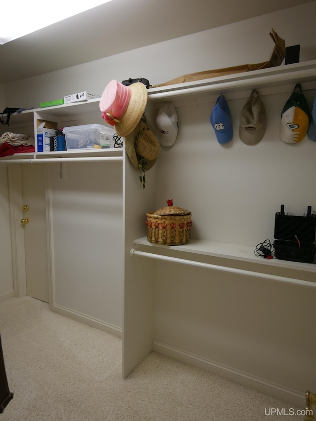 52765 Bootjack Rd, Lake Linden, MI 49945 - walk in closet featuring carpet