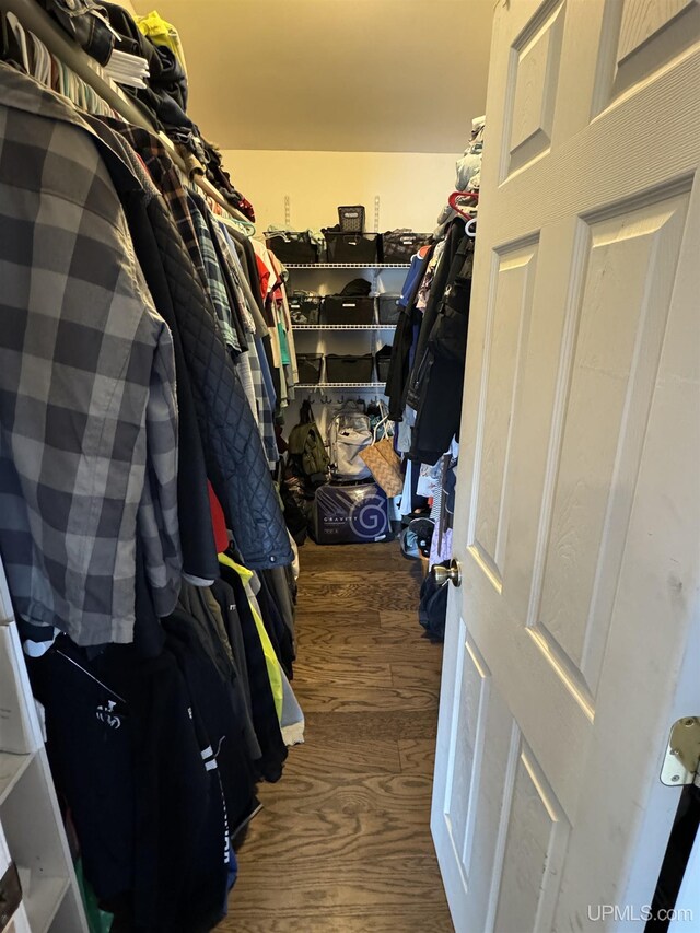 59 Forest Dr, Negaunee, MI 49866 - view of spacious closet