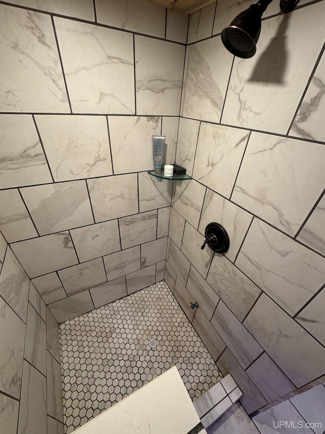 59 Forest Dr, Negaunee, MI 49866 - bathroom featuring a tile shower