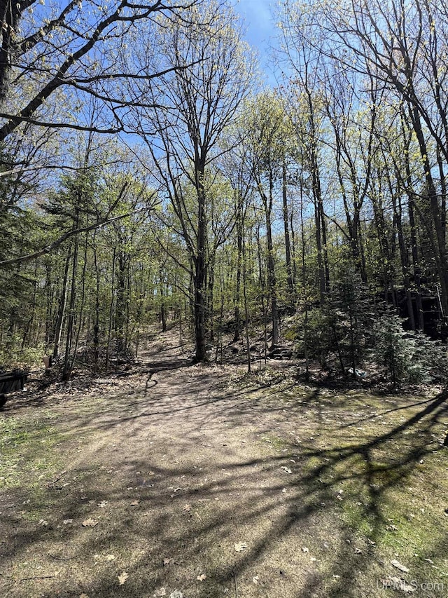 59 Forest Dr, Negaunee, MI 49866 - view of yard