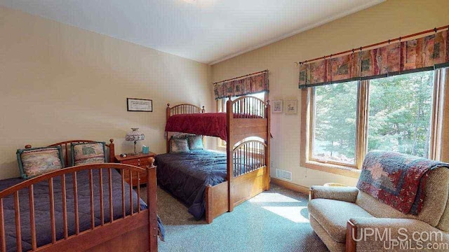 N9910 Shore Dr, Au Train, MI 49806 - view of carpeted bedroom