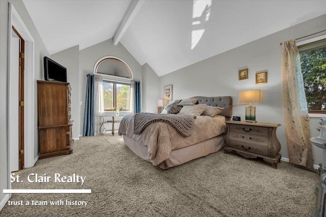 1080 Highland Dr, Saint Clair, MI 48079 - carpeted bedroom featuring multiple windows and baseboards