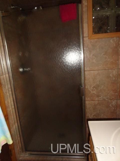 2801 M-94 Hwy, Eben Junction, MI 49825 - bathroom view of a shower stall and vanity