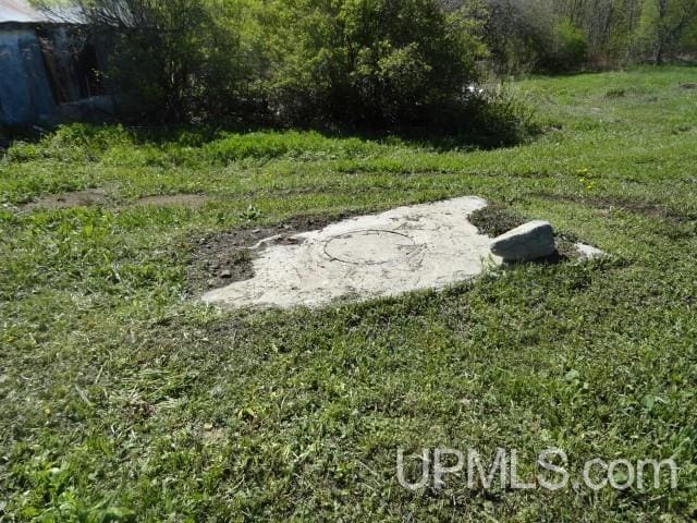 2801 M-94 Hwy, Eben Junction, MI 49825 - view of yard