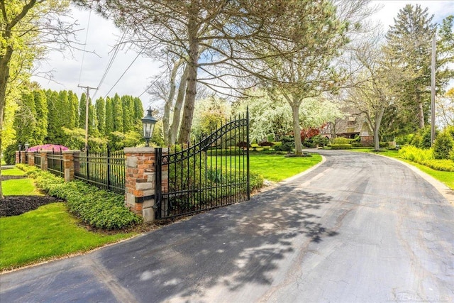 49016 Pointe Lakeview Dr, Chesterfield, MI 48047 - view of road featuring street lights and a gate