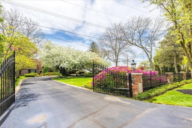 49016 Pointe Lakeview Dr, Chesterfield, MI 48047 - view of asphalt driveway with street lighting, a gate, and a gated entry