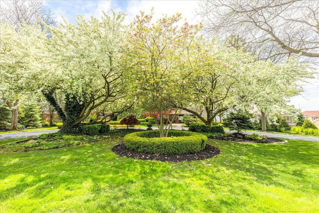 49016 Pointe Lakeview Dr, Chesterfield, MI 48047 - view of grassy yard