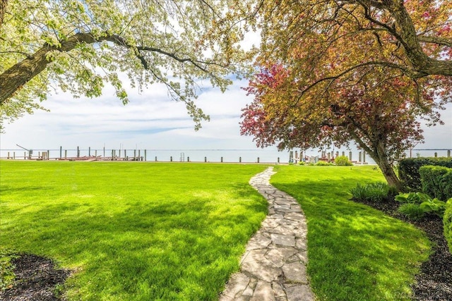 49016 Pointe Lakeview Dr, Chesterfield, MI 48047 - view of green lawn