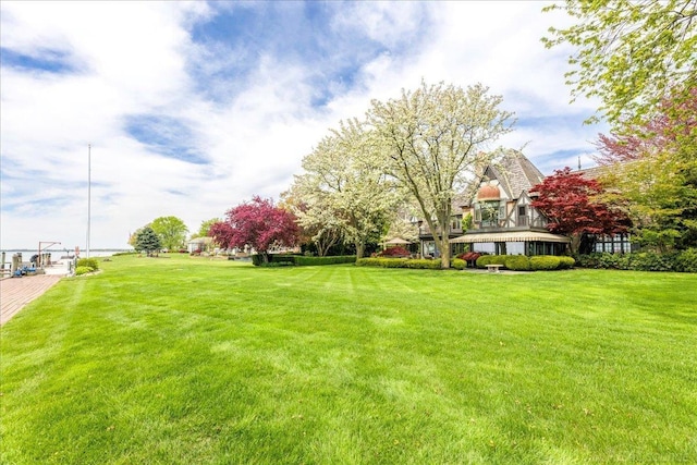 49016 Pointe Lakeview Dr, Chesterfield, MI 48047 - view of grassy yard