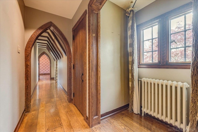 49016 Pointe Lakeview Dr, Chesterfield, MI 48047 - hall featuring radiator, light wood-style flooring, arched walkways, lofted ceiling, and baseboards