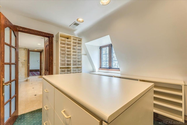 49016 Pointe Lakeview Dr, Chesterfield, MI 48047 - view of spacious closet