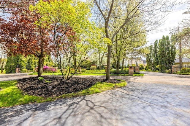 49016 Pointe Lakeview Dr, Chesterfield, MI 48047 - view of home's community