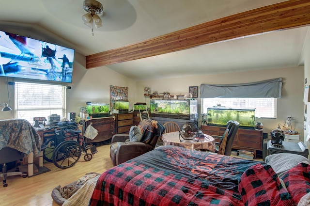 6669 Lakeshore Rd, Lexington, MI 48450 - bedroom with wood finished floors and multiple windows