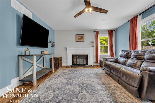 1923 Clinton Ave, Saint Clair, MI 48079 - living area featuring ceiling fan, a glass covered fireplace, healthy amount of natural light, and wood finished floors