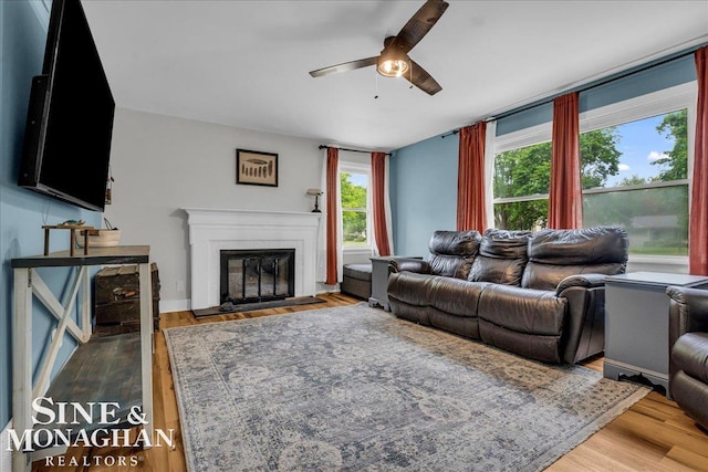 1923 Clinton Ave, Saint Clair, MI 48079 - living area featuring a ceiling fan, a glass covered fireplace, and wood finished floors
