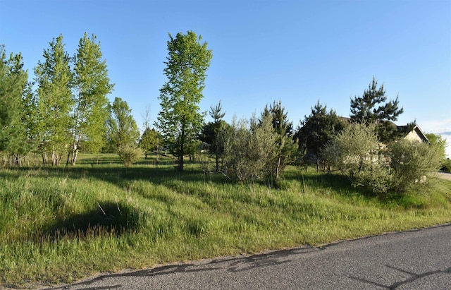 LOTS530 Shaftsbury Ct, Gladwin, MI 48624