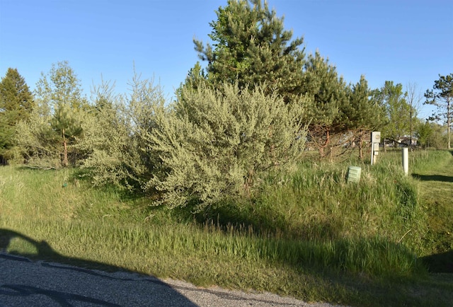 LOTS530 Shaftsbury Ct, Gladwin, MI 48624