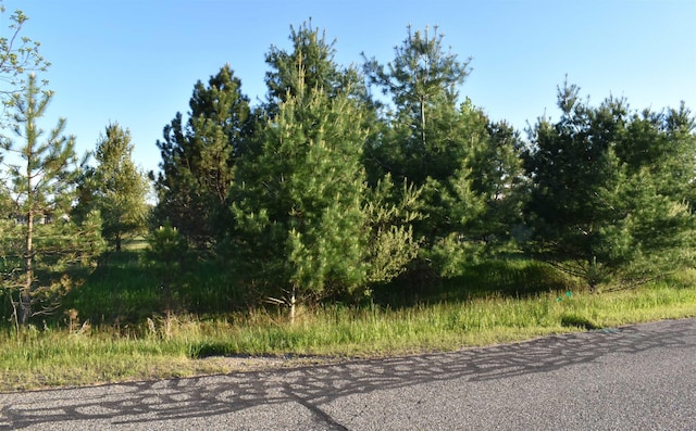 LOTS530 Shaftsbury Ct, Gladwin, MI 48624